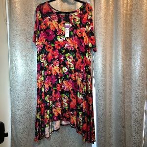 Colorful Agnes & Dora Joplin Dress